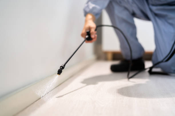 Professional exterminator conducting IPM assessment in Kingston